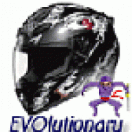 EVOlutionary