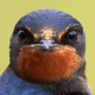 SLRUser