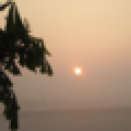 Lrftie