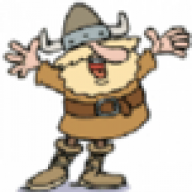 Vikingraider