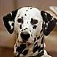 spottydog