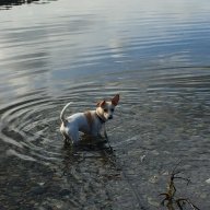 tightlines