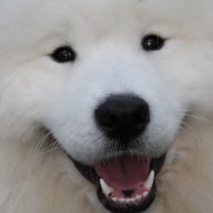Zenithbliss