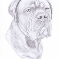 GazzerG