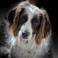 sharperfoto