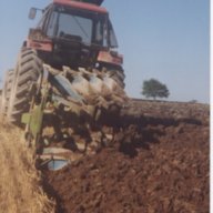 Ploughboy