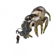 LesterW