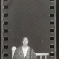 ZQDLS_ym
