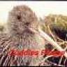 flyingkiwi_06