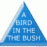 birdinthethebush