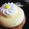 MissCupcake