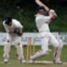 David Haigh