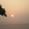 Lrftie