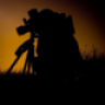 The Beast 7d