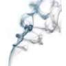 Bluie