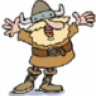 Vikingraider