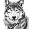 Wolf_36
