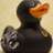 rubber duck