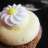 MissCupcake