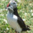 ImageView