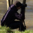 jay_rowe