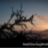 mattstarkeyphotos