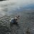 tightlines