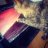 jazzycat