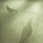 Woodpigeon