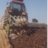 Ploughboy