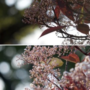 D&N 12 Bleeds aperture