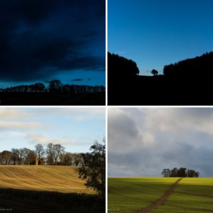 Landscapes for TP