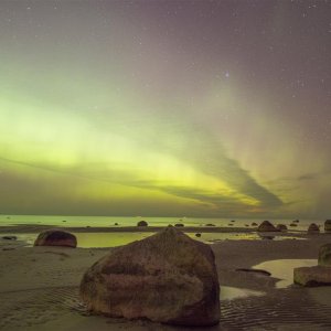 P3188708 (Custom).JPG