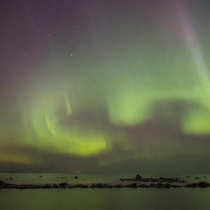 P3188726 (Custom).JPG