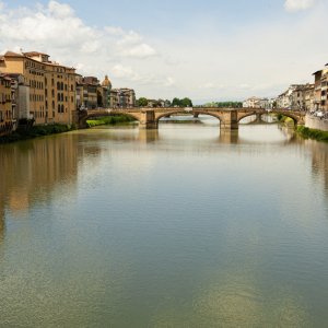 DSC_2896 resized.jpg