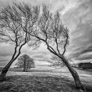 Two Sisters - Cleeve Hill