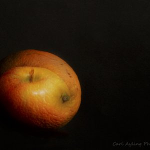 Genetically Modified