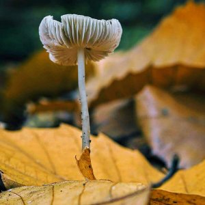 2018-11-05 23.22.14.jpg