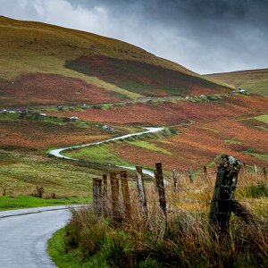 Wales Trip Blades Media (5).jpg