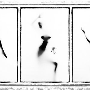 bodytryptch2 resized.jpg