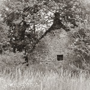 Old Shed Sepia.jpg