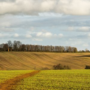 Landscapes Wroxton-04211.jpg