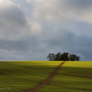 Landscapes Wroxton-04227.jpg