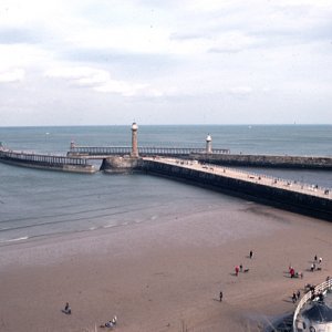 IMAGE301s.jpg