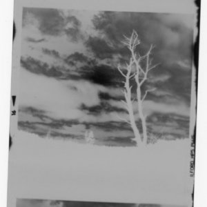 img005.jpg
