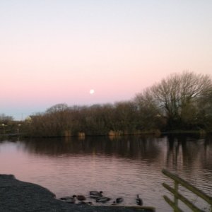 pond evening.jpg