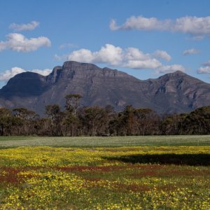 Stirling Range National Park
