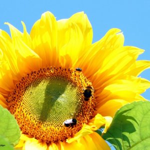 IMG_1656.jpg