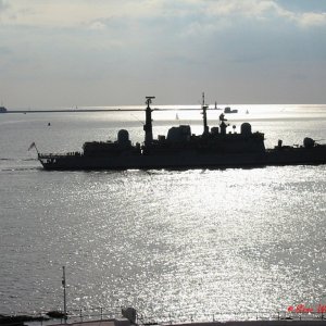 IMG_2329.jpg