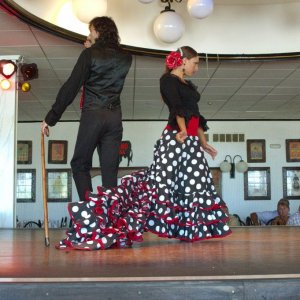 Media 'D3C-1-0308-small.jpg' in album 'Flamenco'